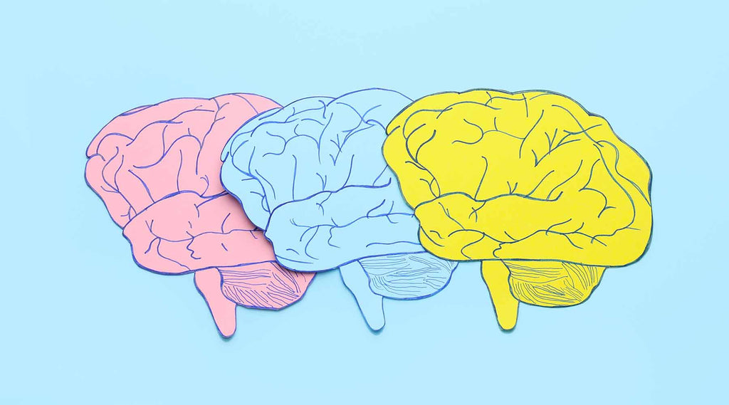 Excess Disabilities & Dementia