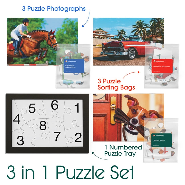 3 in 1 puzzle set for dementia