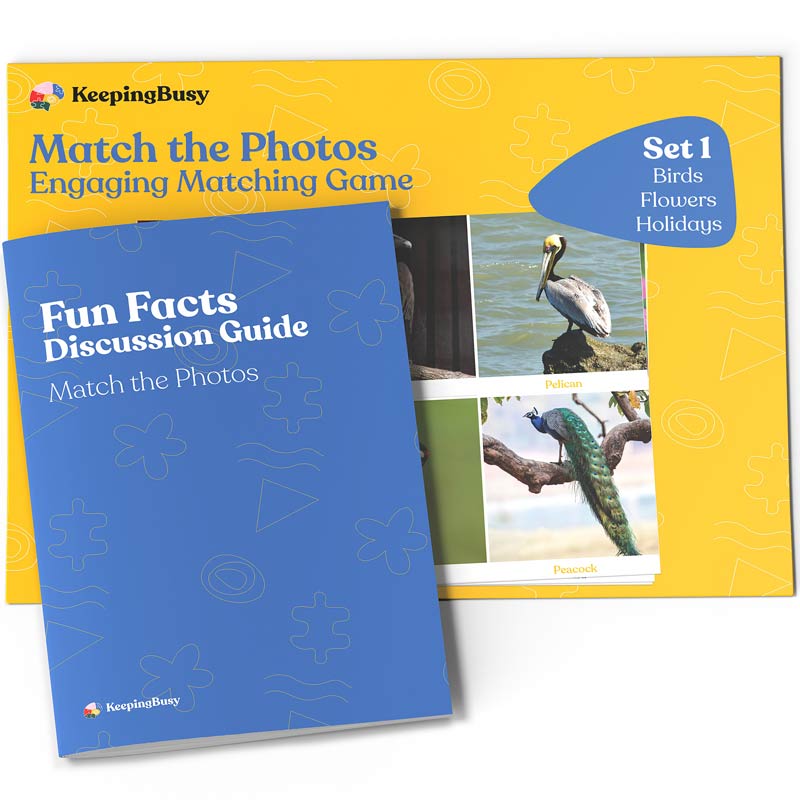Match the Photo Games for Dementia Patients